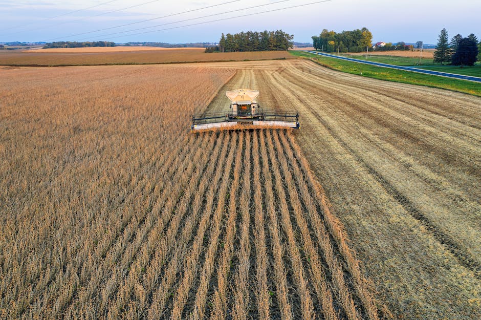 agricultural machinery maintenance