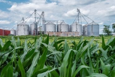 The Reliability Factor: Grain Storage Systems Reviewed